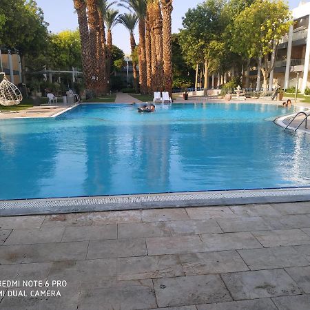 דירות אילת רויאל פארק דירת גן מקום קסום אורלי מראה חיצוני תמונה